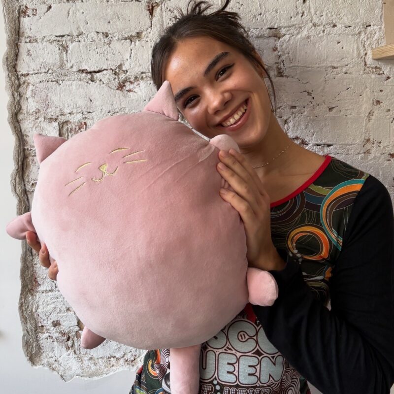 PinkMochiNeko - velvet touch