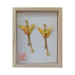 Butterfly_6
